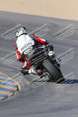 media/Nov-12-2023-SoCal Trackdays (Sun) [[5d1fba4e7d]]/Turn 10 Backside (115pm)/